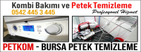 Bursa Petek Temizleme – 0542 445 3 445